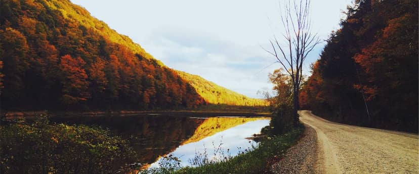 Unauth title ZySIDojX